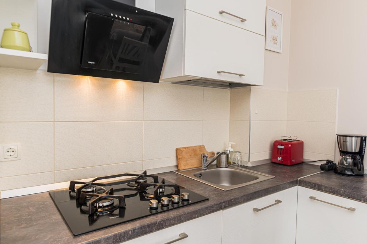 Apartamento Apartament Belles Roses Braşov Exterior foto